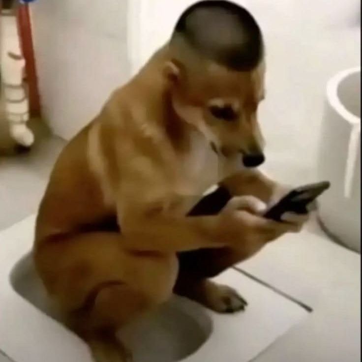 PanTuff