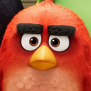 ANGRY BIRDS