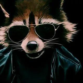 Loopreze666 avatar