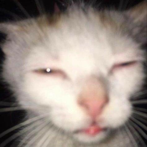Exiqda avatar