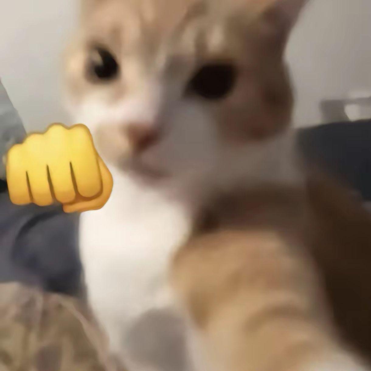 miko0o0o0o0
