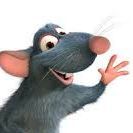 Remy_The_Rat