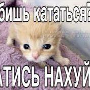 chAp69 avatar