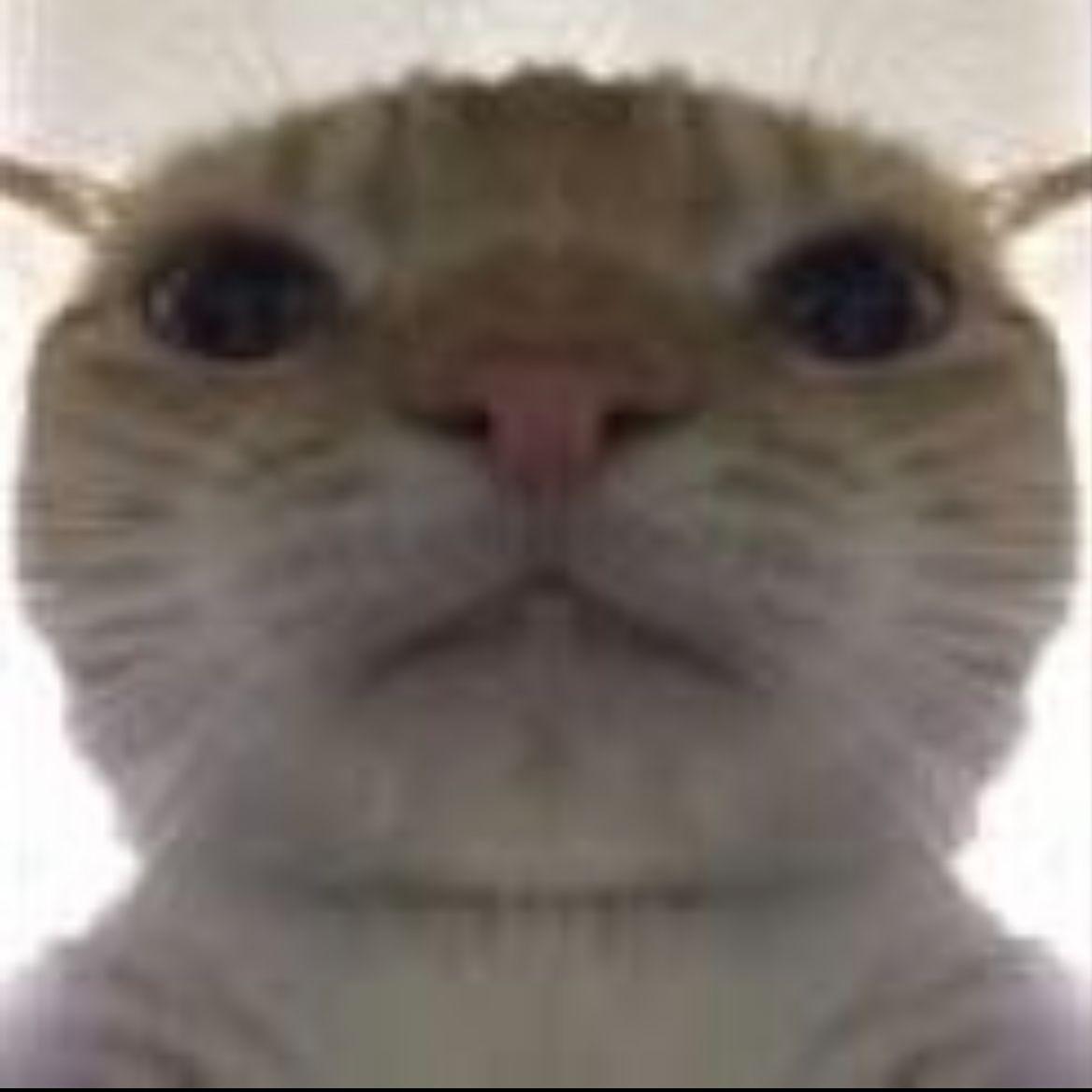 hgnydu avatar