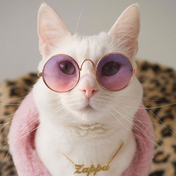 WOTHellcat