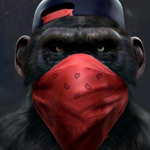 CR4ZY_M0NK3Y avatar