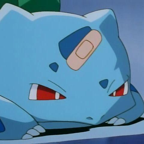 qrea avatar