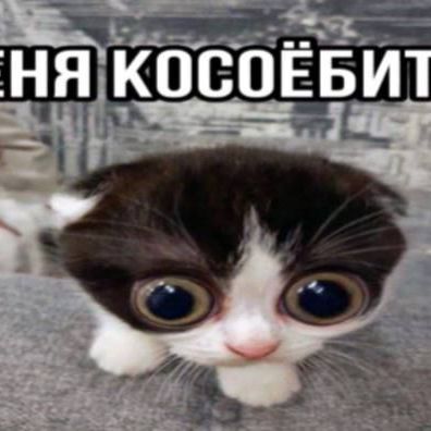 QWERKQ