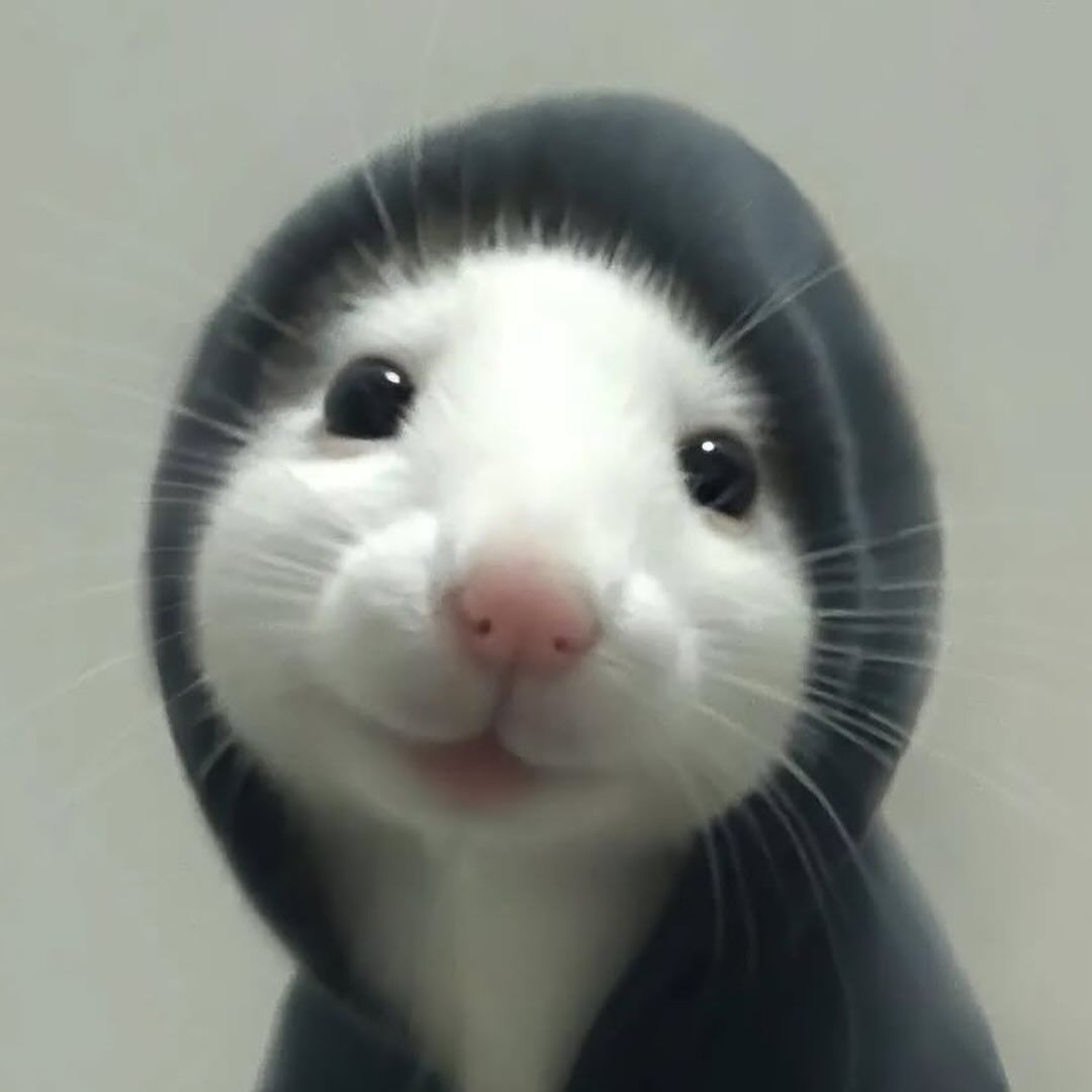 LittleSadEye