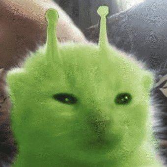 anniken avatar