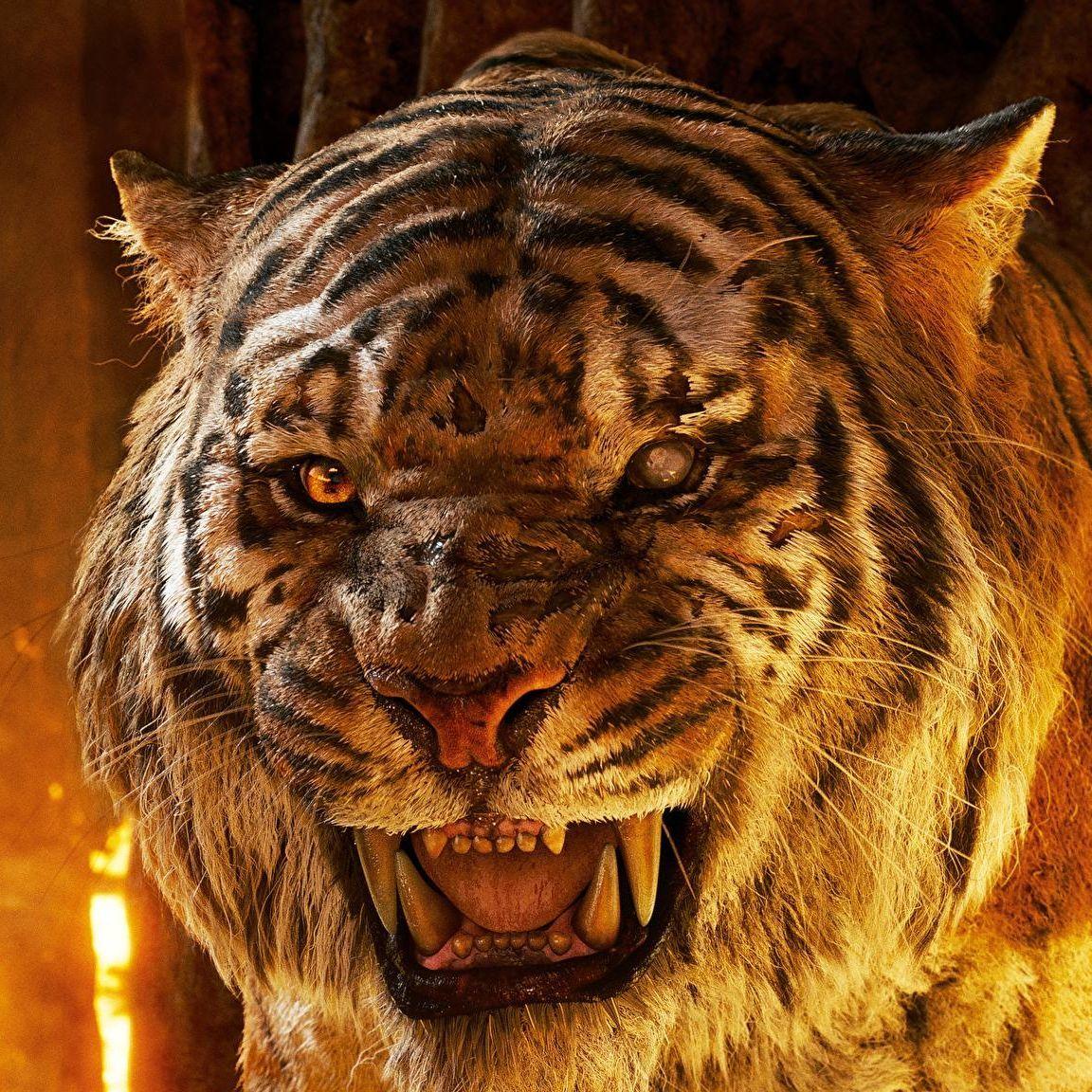 _TiGeR_ avatar