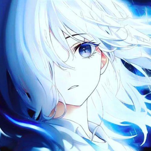 n0sh- avatar
