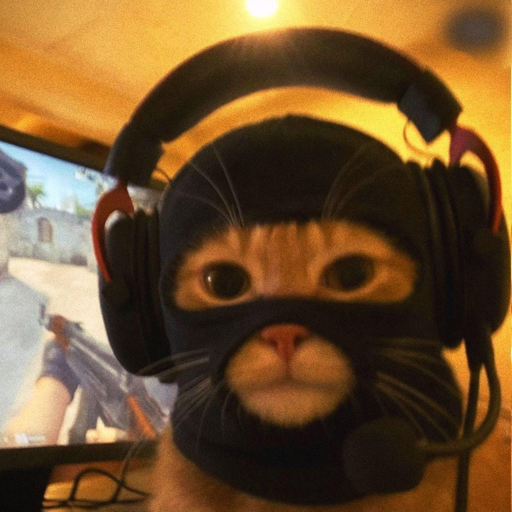 Jackal72 avatar