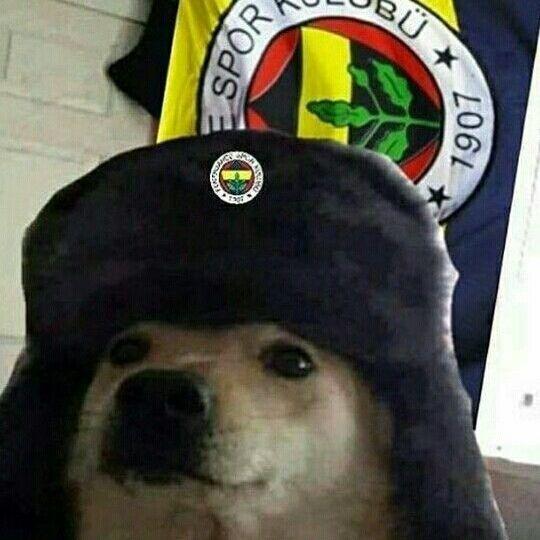 FeuriousTR avatar