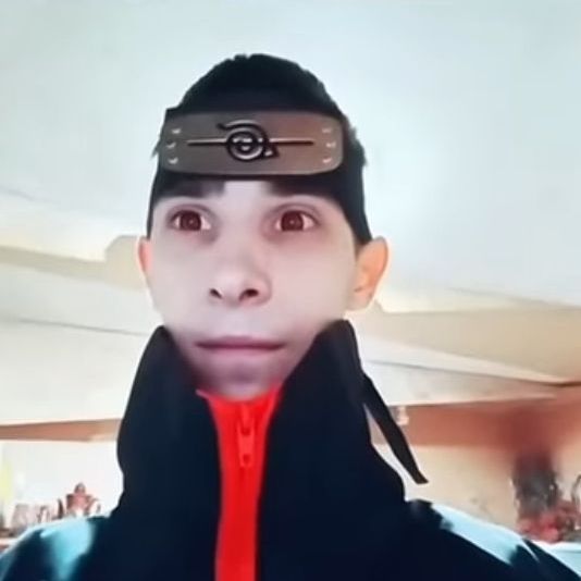 prime_donka