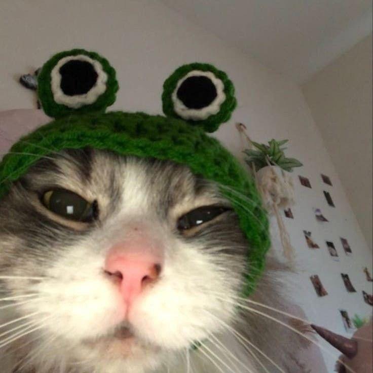 freaktypoi avatar