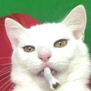 __An1me_ avatar