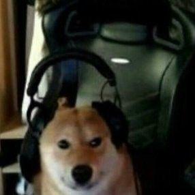 n0um avatar