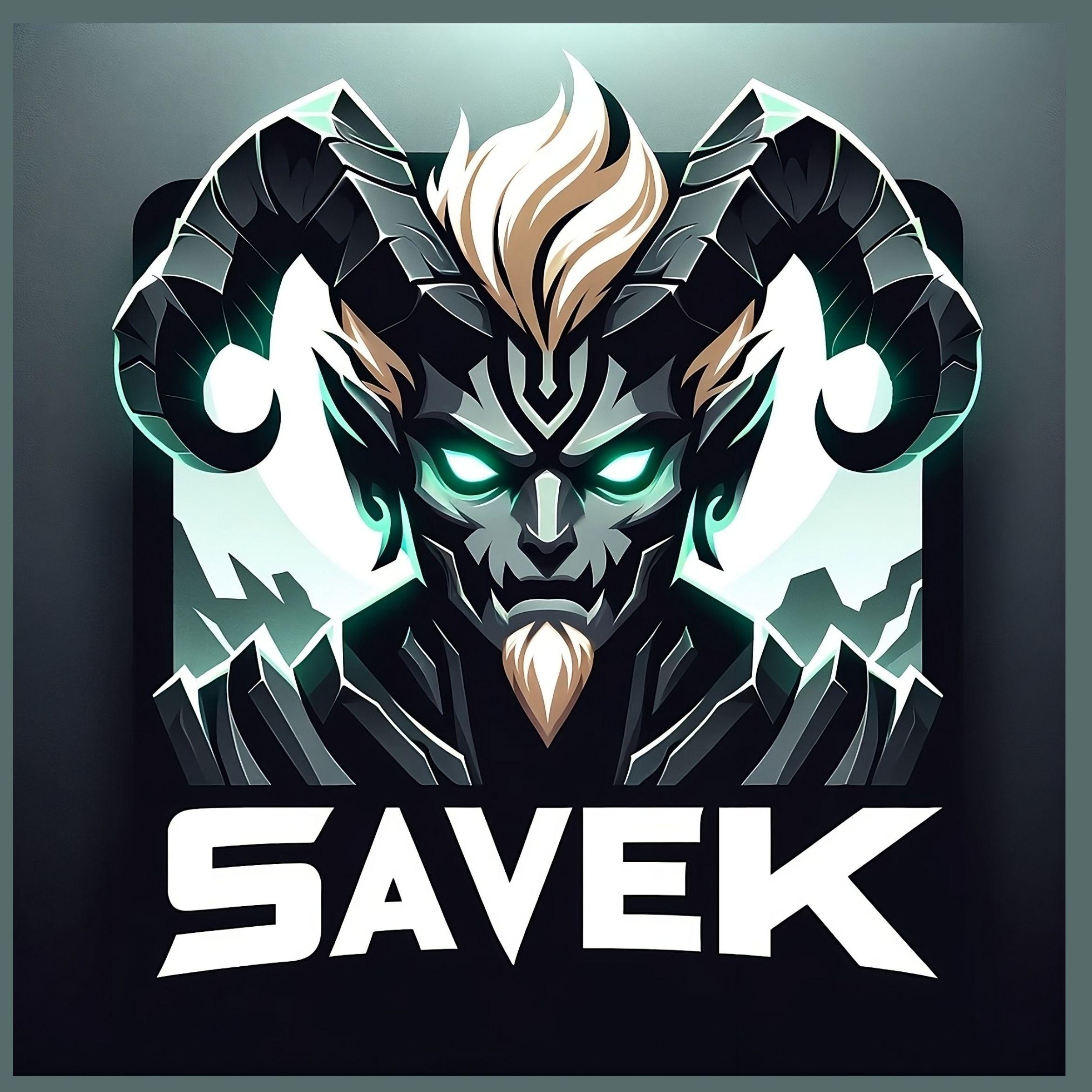 Player saVek avatar