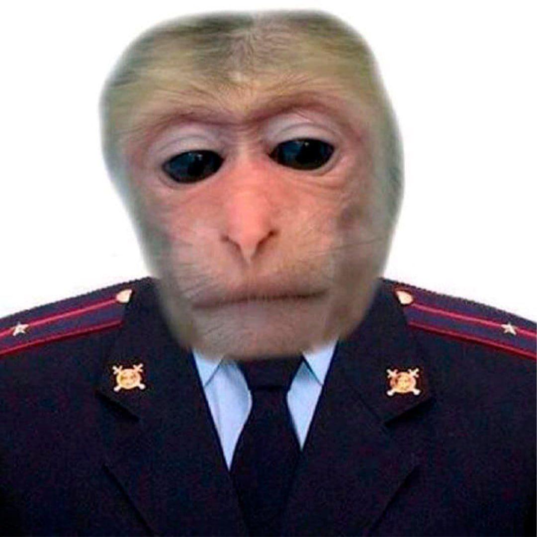 Nayzer_Loyz avatar