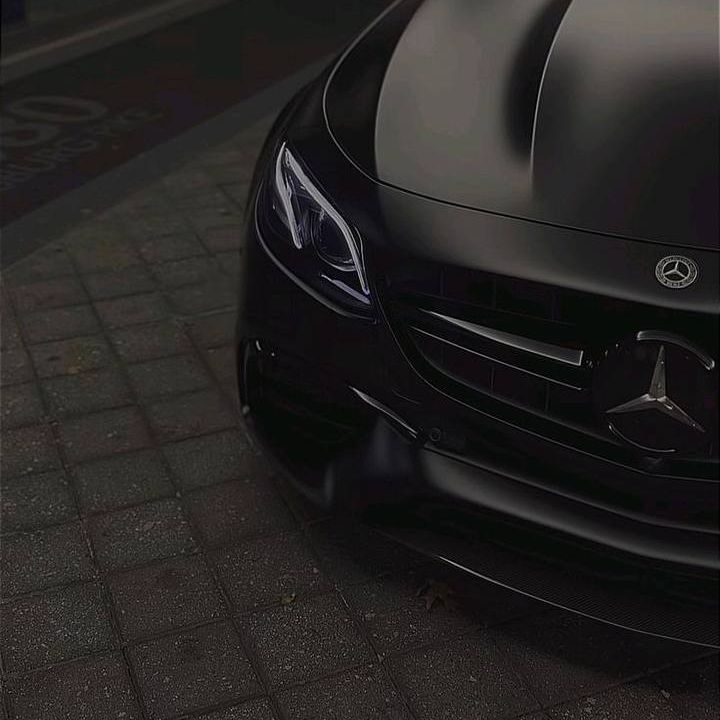 team_Z1GLs
