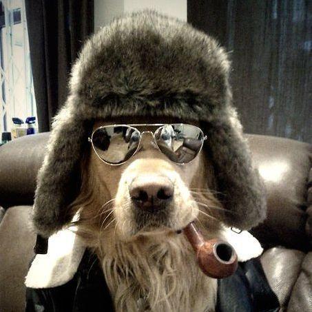 Sholzi avatar