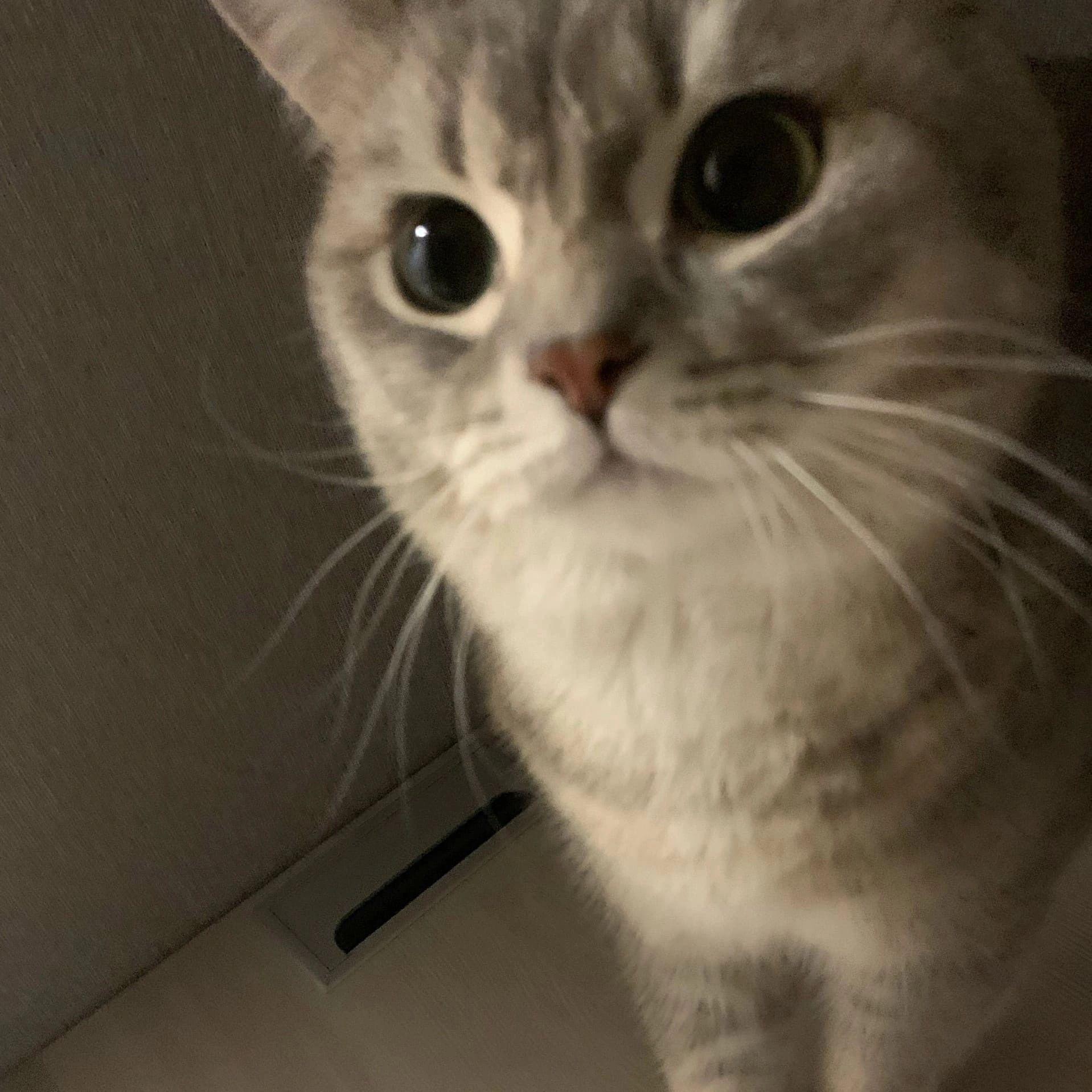 Tuhofu22