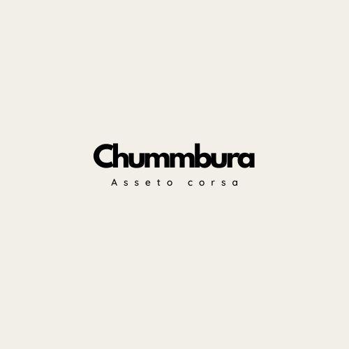 chummbura33 avatar