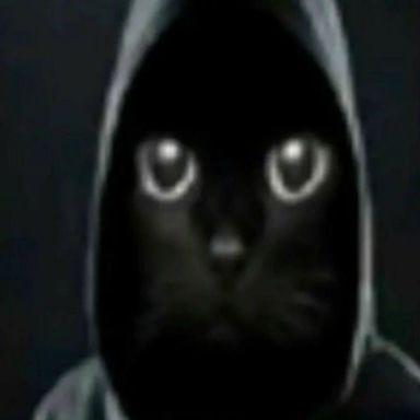 Iinganguli avatar