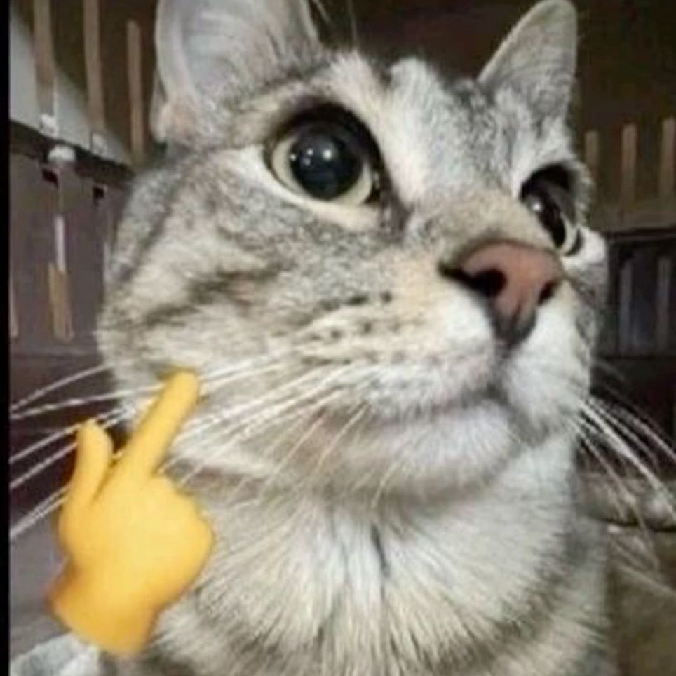 Kocayk