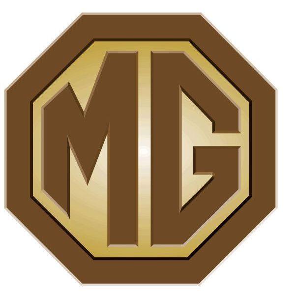 _M-G_ avatar