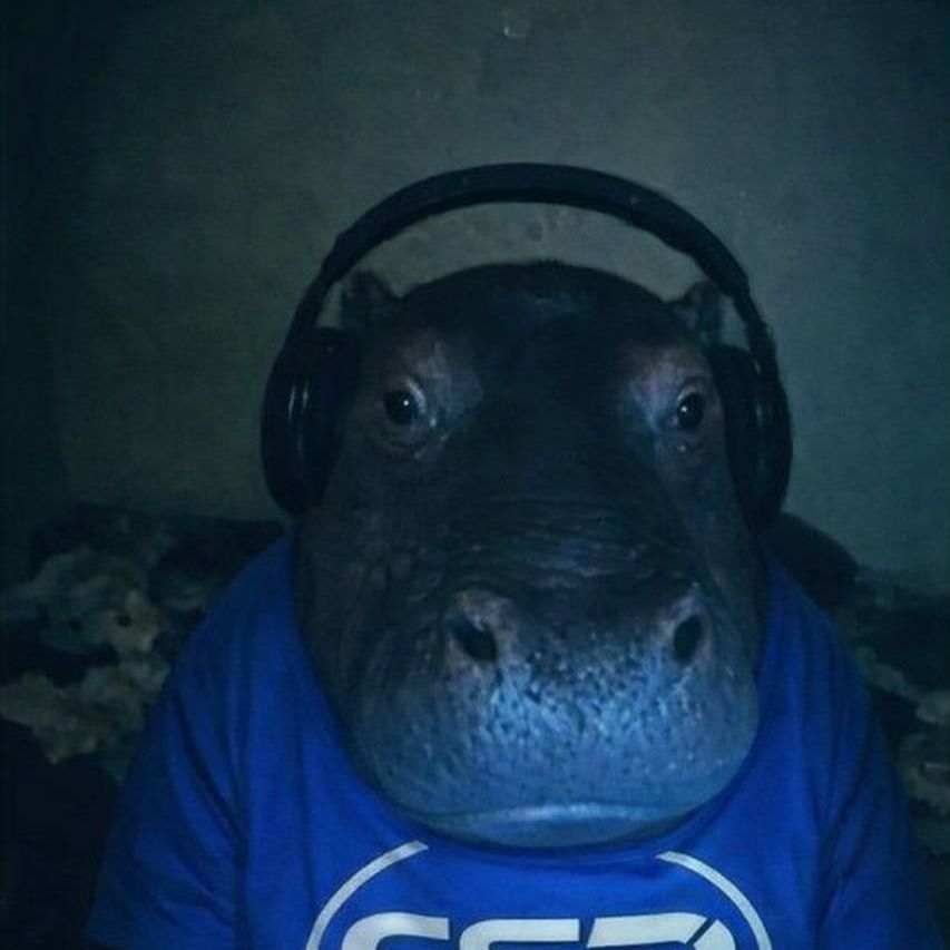 20Marlen03 FACEIT avatar