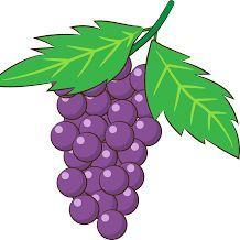 Grape Gang Duo
