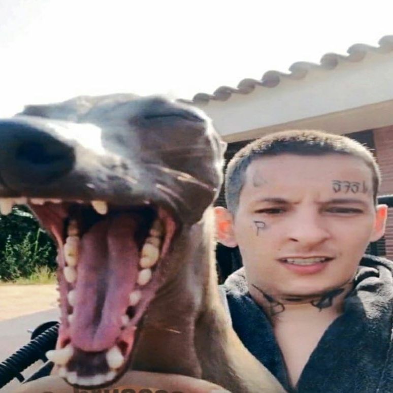 r3a666