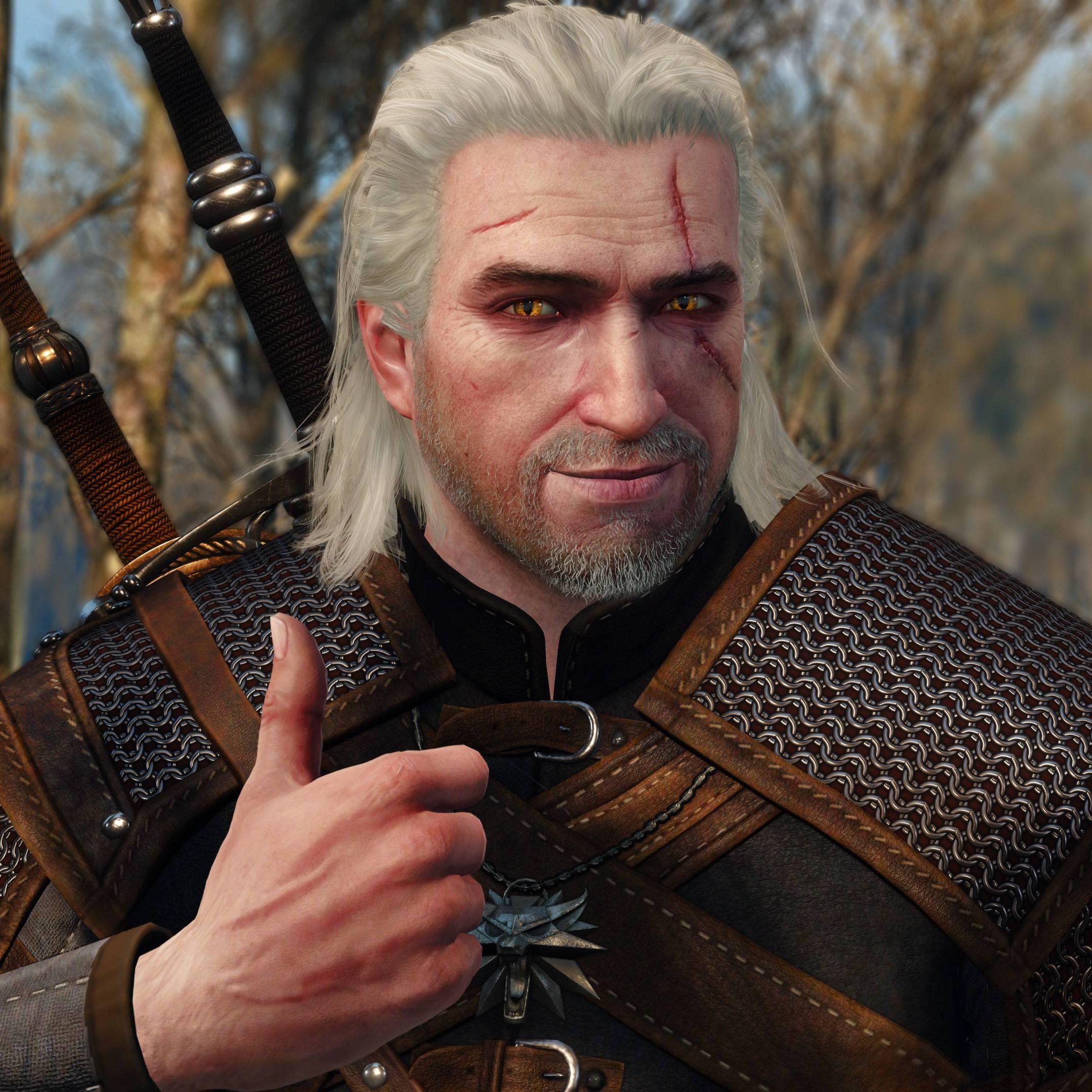 The witcher steam profile фото 35