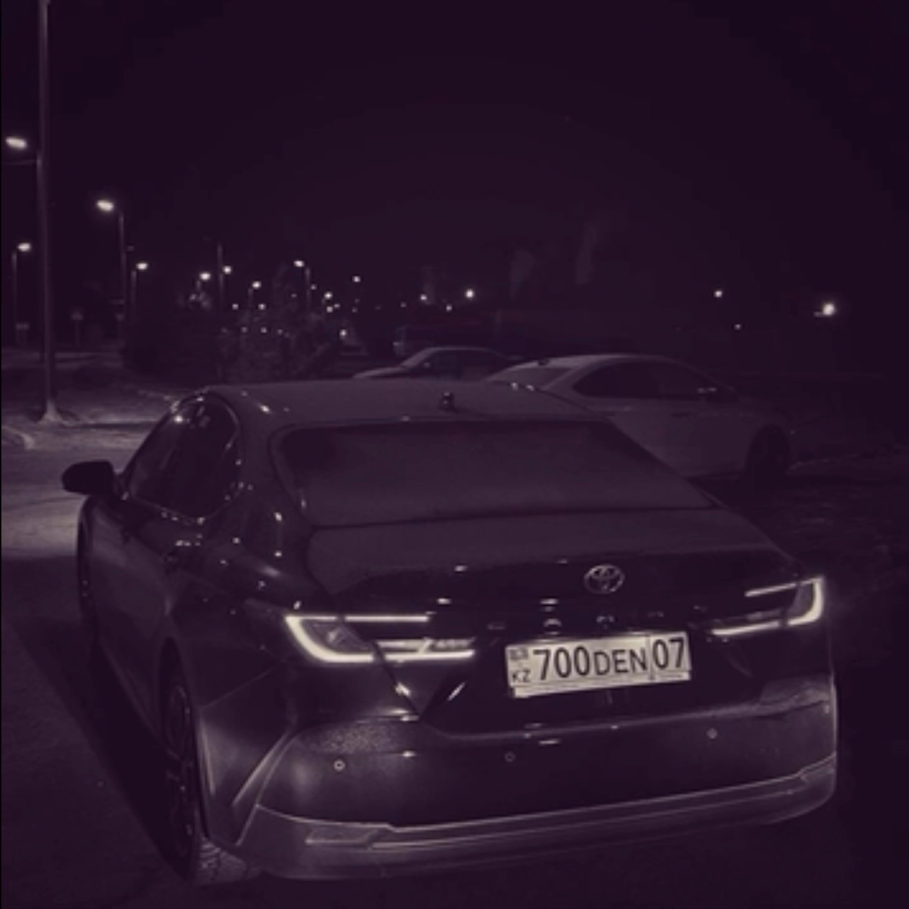700DEN07