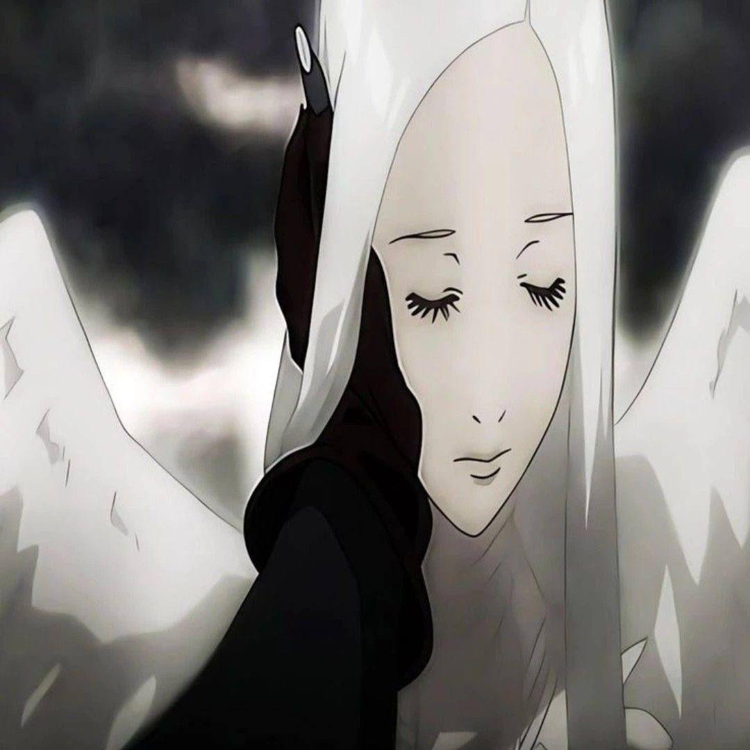 ottche avatar