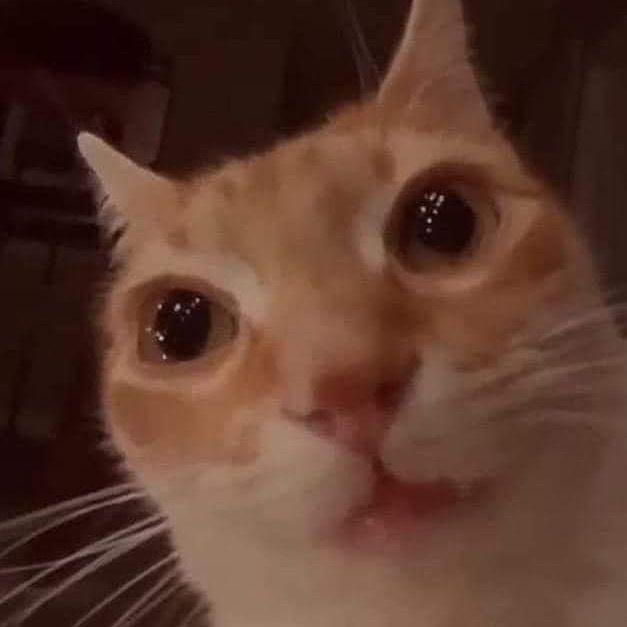 stredsito avatar
