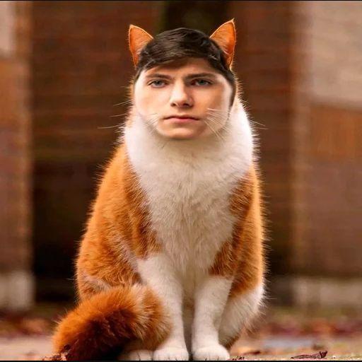 trepeks avatar
