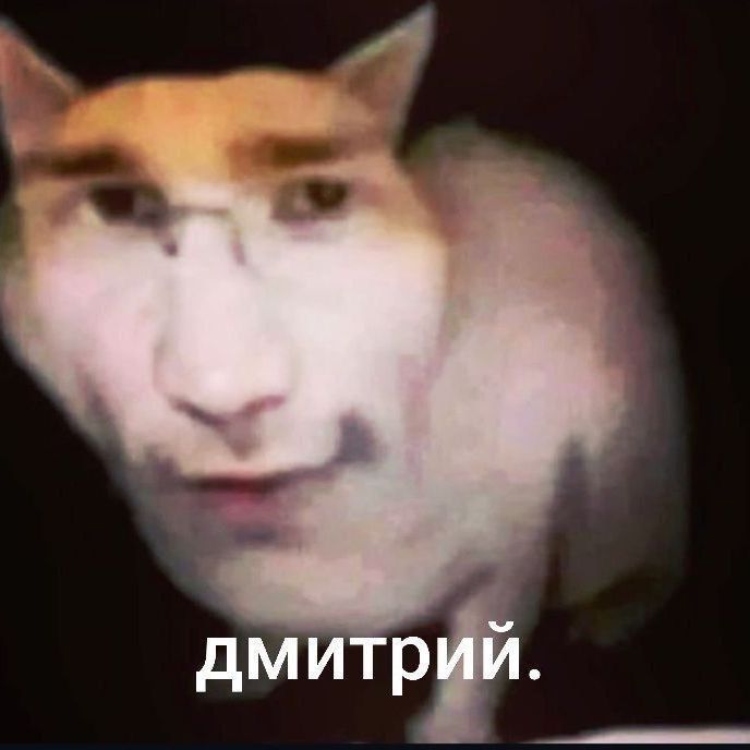 Noso4ek5 FACEIT avatar