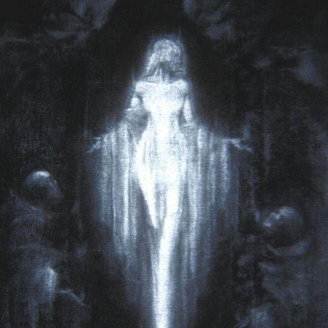 krilya avatar