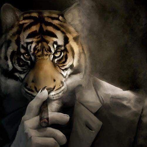 den-var avatar