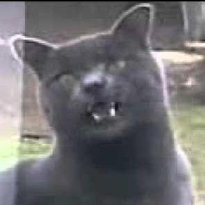 mr_a2katt avatar