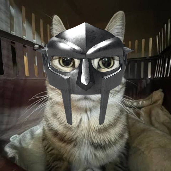 Magicpoule FACEIT avatar