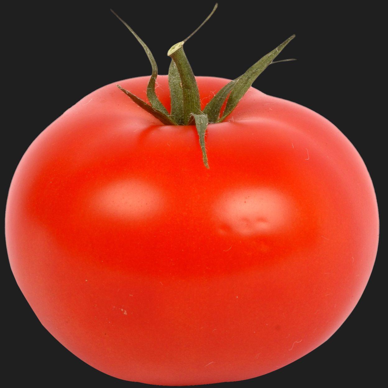 Tomatofemboy avatar