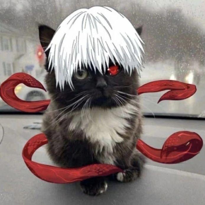 MSI14 avatar