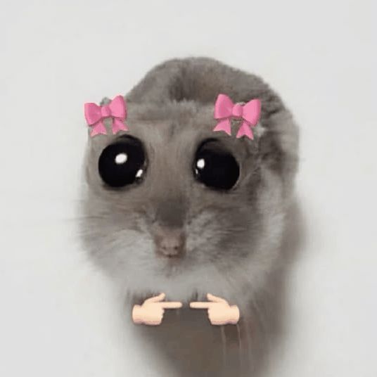 Molliki