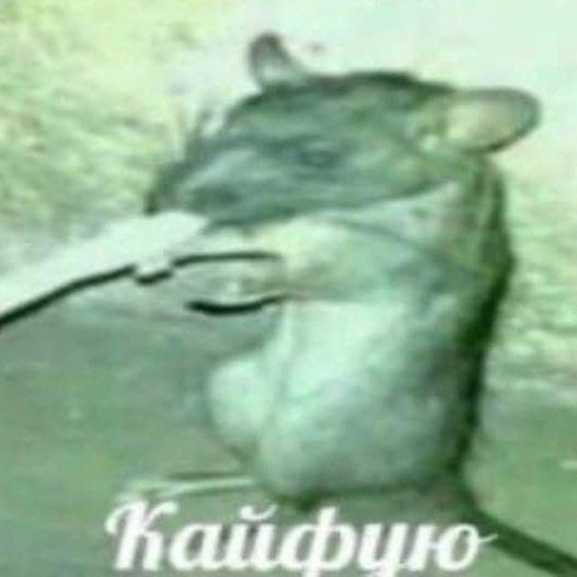 a1mEnj0y3rs