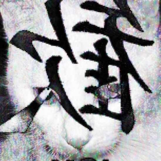 ShinguTry