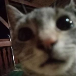 TomixYT123
